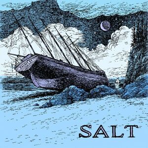 Salem 66 - Salt  LP LP